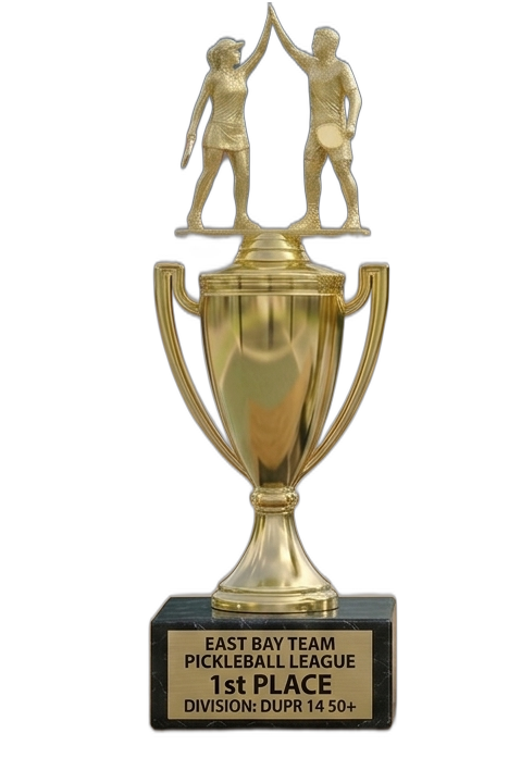 1st Place trophy