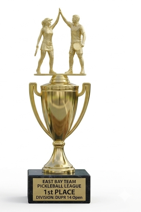 1st Place trophy