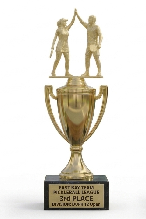 3rd Place trophy