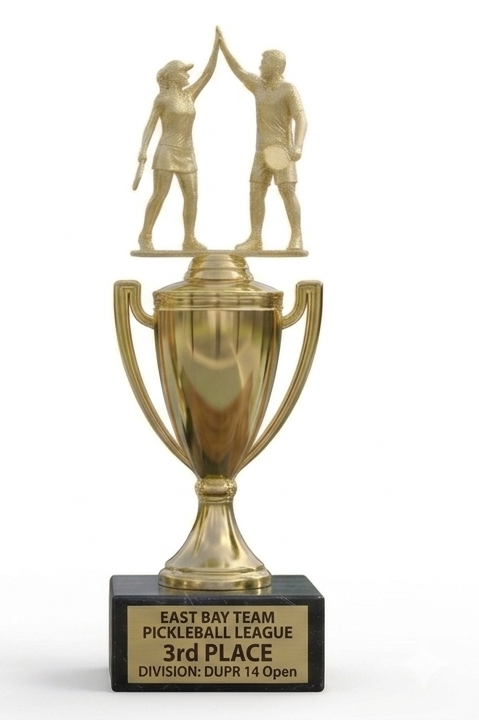 3rd Place trophy