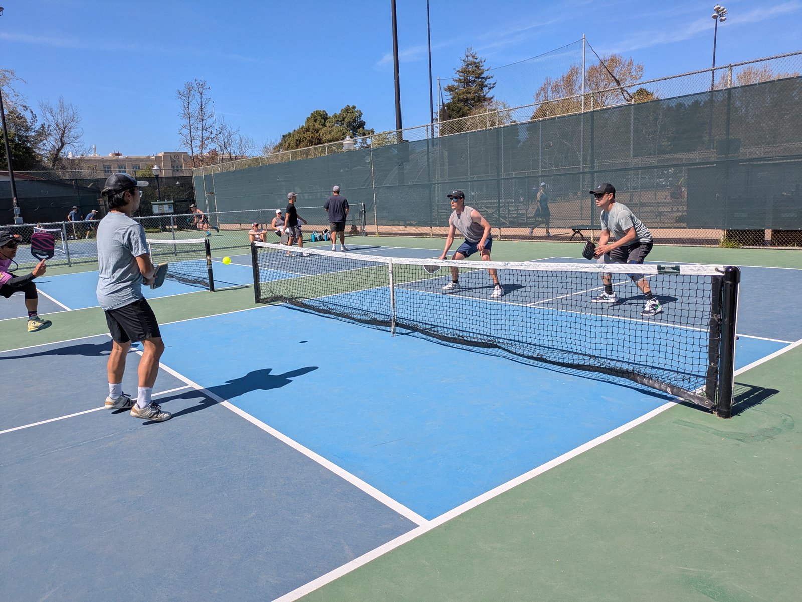 Second Chances vs Pickle Cats